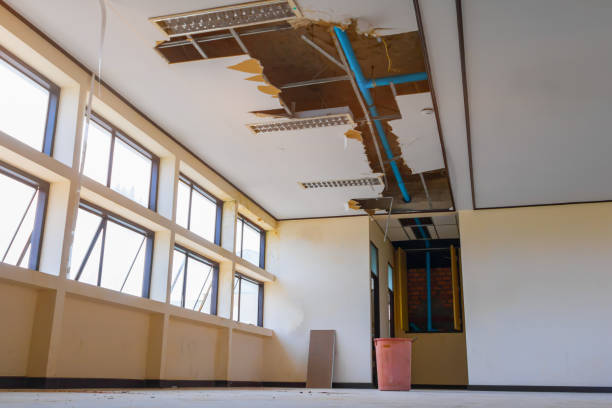 Best Water damage mitigation services  in North Fort Lewis, WA
