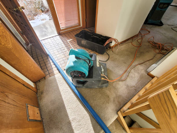 Best Water damage cleanup near me  in North Fort Lewis, WA
