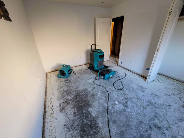 Best Flooded house restoration  in North Fort Lewis, WA