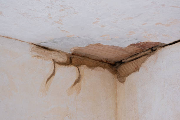 Best 24/7 water damage repair  in North Fort Lewis, WA