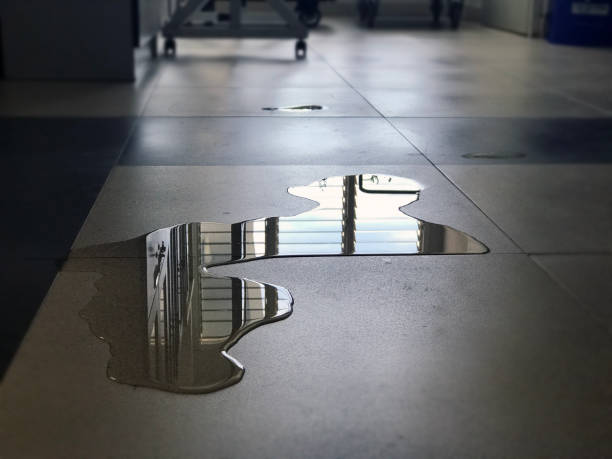 Best Carpet water damage restoration  in North Fort Lewis, WA