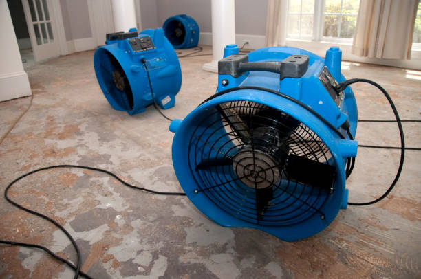 Best Flood restoration services  in North Fort Lewis, WA