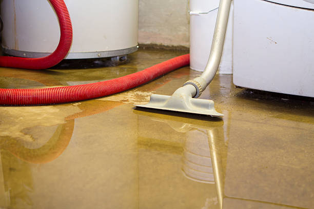  North Fort Lewis, WA Water damage restoration Pros