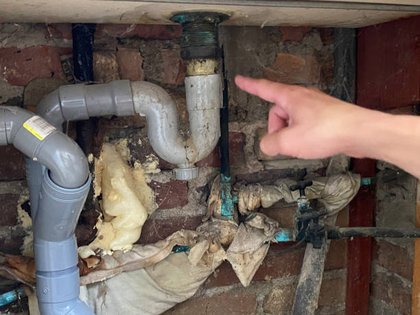 Best Water damage restoration near me  in North Fort Lewis, WA