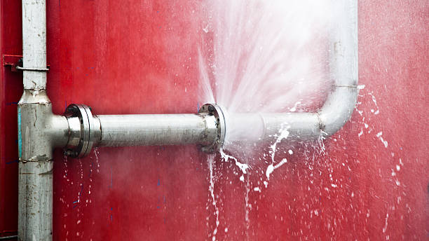 Best Local water damage restoration  in North Fort Lewis, WA